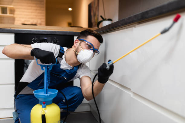 Best Cockroach Control Services  in Elberta, AL