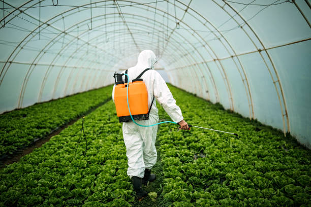 Best Pest Inspection Near Me  in Elberta, AL