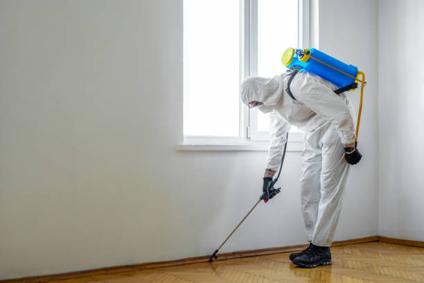 Best Commercial Pest Control Services  in Elberta, AL
