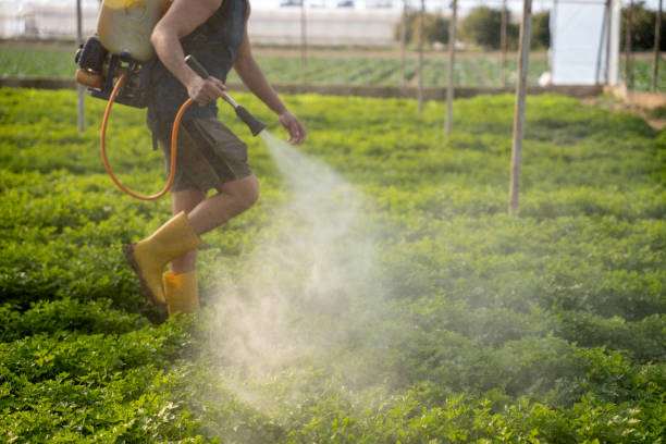 Best Emergency Pest Control  in Elberta, AL