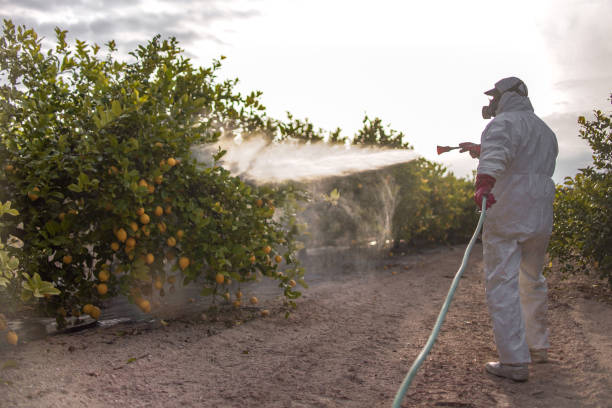 Best Pest Control for Businesses  in Elberta, AL