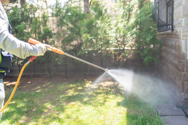 Best Spider Control Near Me  in Elberta, AL