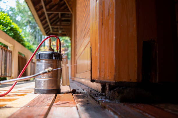 Best Affordable Pest Control Services  in Elberta, AL