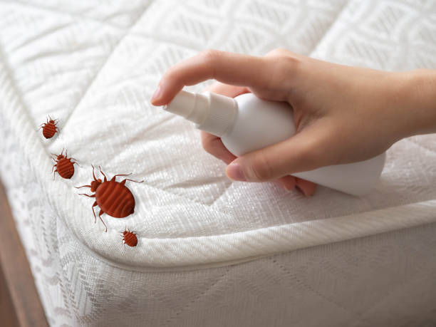 Best Ant Control Services  in Elberta, AL