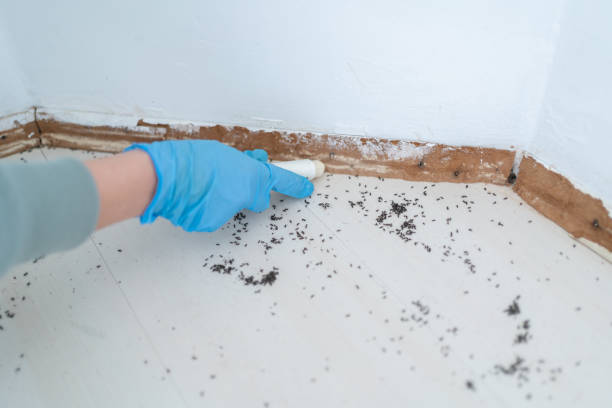 Best Residential Pest Control  in Elberta, AL