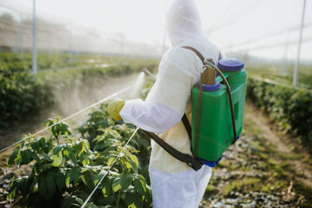 Flea Control Services in Elberta, AL
